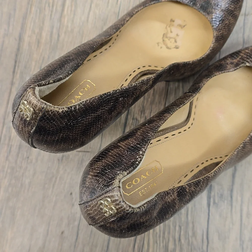 Coach Daisee Printed Lizard‎ Heels, 9.5​